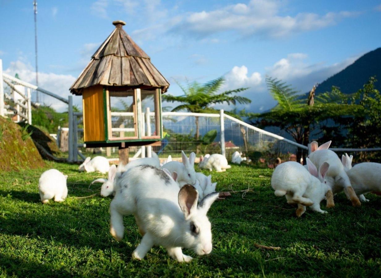 O Chau Homestay หล่าวกาย ภายนอก รูปภาพ