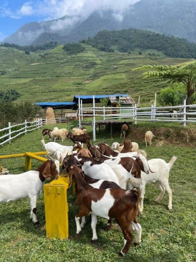 O Chau Homestay หล่าวกาย ภายนอก รูปภาพ