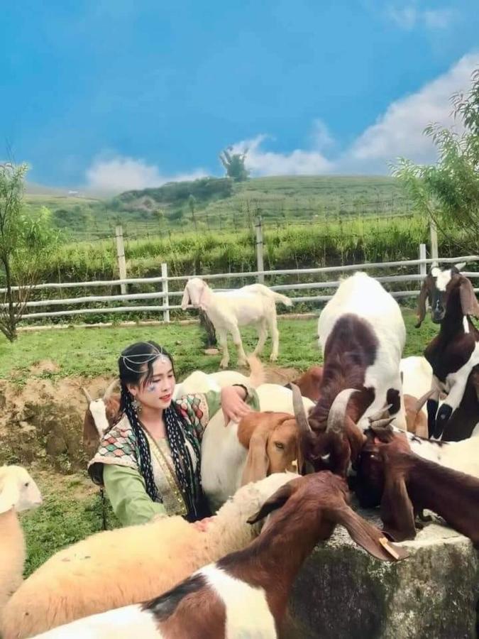 O Chau Homestay หล่าวกาย ภายนอก รูปภาพ